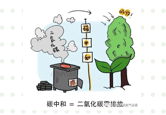“碳中和、碳達峰”構建綠色、低碳、循環(huán)的可持續(xù)發(fā)展經濟體系